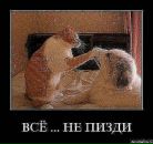 Олексій Фарина фотография #45 (источник - https://vk.com/id57227092)