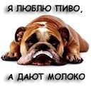 Тарас Парій фотография #31 (источник - https://vk.com/id168564400)