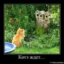 Віталік Гугель фотография #29 (источник - https://vk.com/id84808337)