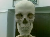 Фотография Полякова Михаила