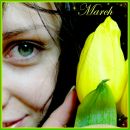 Фотография Анциферовой Светланы