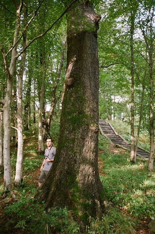 Папочка Бэндер фотография #30