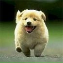 Діана Бойко фотография #5 (источник - https://vk.com/id155748385)