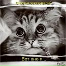 Фотография Стругатской Натальи