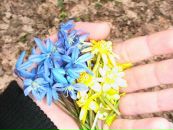 Марія Сусак фотография #2 (источник - https://vk.com/id87324819)