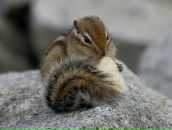 Фотография Плехановой Юлии