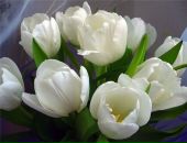 Фотография Пасынковой Натальи