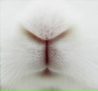 Фотография Хафизовой Ирины