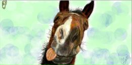 Софійка Сулима фотография #22 (источник - https://vk.com/id72677773)