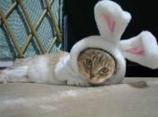 Фотография Пичкалевой Надежды