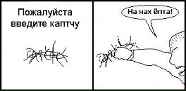 Марк Ицкович фотография #40 (источник - https://vk.com/id1475070)