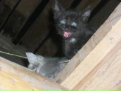 Фотография Хурматуллиной Гульшат