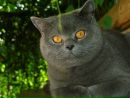 Фотография Тереховой Елены