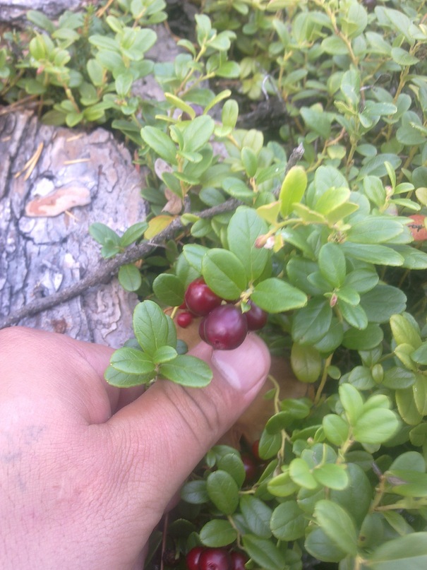 Семен Иванов фотография #49