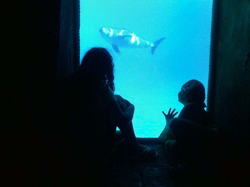 Павел Евсютин фотография #26