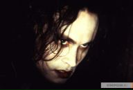 Фотография :) Скандалиста