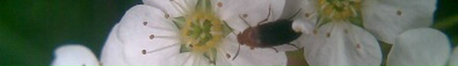 Сергій Донець фотография #8 (источник - https://vk.com/id32295683)