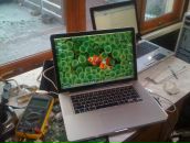 Фотография Сенчилина Алексея