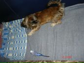 Иван Андреев фотография #29 (источник - https://vk.com/id2534545)