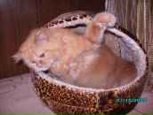 Фотография Галичевой Екатерины