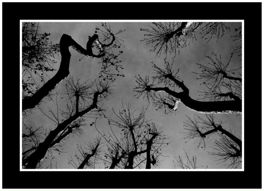 Максим Горбулин фотография #39