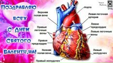 Фотография Добрыдина Дмитрия