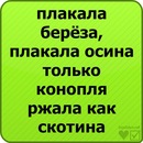 Міша Кушнір фотография #21 (источник - https://vk.com/id80969366)