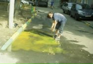 Фотография Опариной Оли