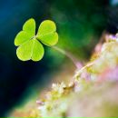 Фотография Дьякова Дмитрия