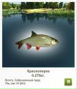 @ндрій Кіселичник фотография #24 (источник - https://vk.com/id148028446)