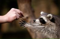 Фотография Белковой Даши