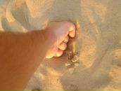 Фотография Тумалева Андрея