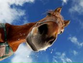 Фотография Панкратовой Анастасии