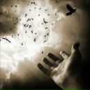 Фотография Феофанова Николая