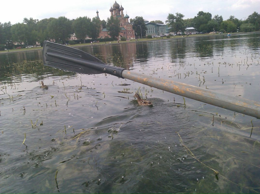 Дмитрий Зайцев фотография #17