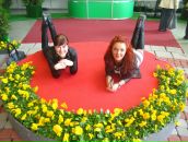 Фотография  