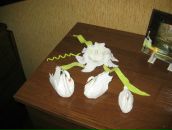 Лєнуля Тарасюк фотография #22 (источник - https://vk.com/id21858758)