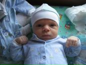 Фотография Волкова Михаила