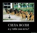 Юрій Яценко фотография #25 (источник - https://vk.com/id54146933)