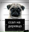 Діма Сільковський фотография #33 (источник - https://vk.com/id25547843)