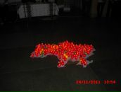 Іриска Весняна фотография #41 (источник - https://vk.com/id17098290)