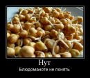 Юрій Бідненко фотография #39 (источник - https://vk.com/id151010759)