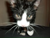 Фотография Андреева Евгения