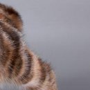 Антон Коваль фотография #45 (источник - https://vk.com/id152000495)