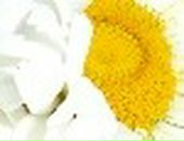 Іванна Майданська фотография #40 (источник - https://vk.com/id85635594)