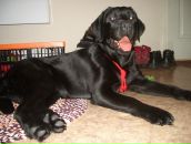 Фотография Сулакшиной Натальи