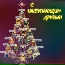 Фотография Пуртовой Ирины