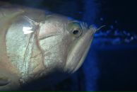 Фотография Константиновой Галины