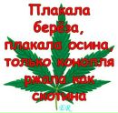 Андрій Гатала фотография #2 (источник - https://vk.com/id91883582)