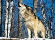 Льоша Андрійчук фотография #20 (источник - https://vk.com/id61127986)